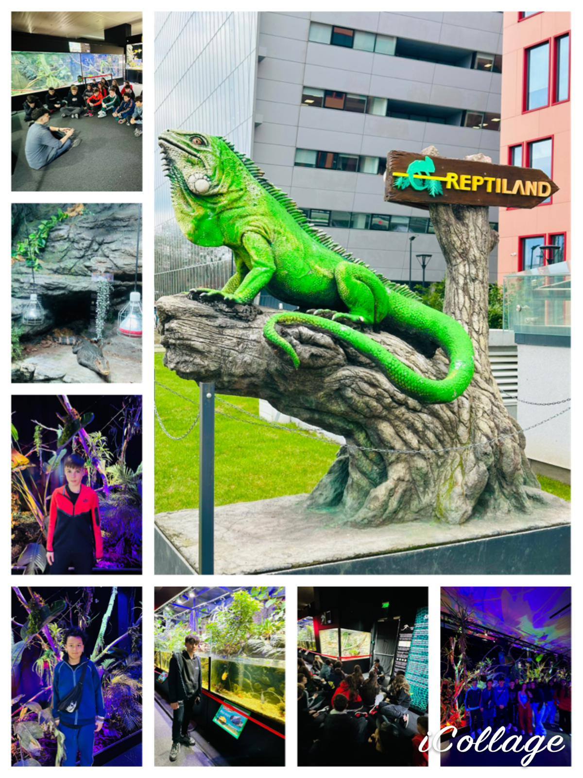 Fotografie 6